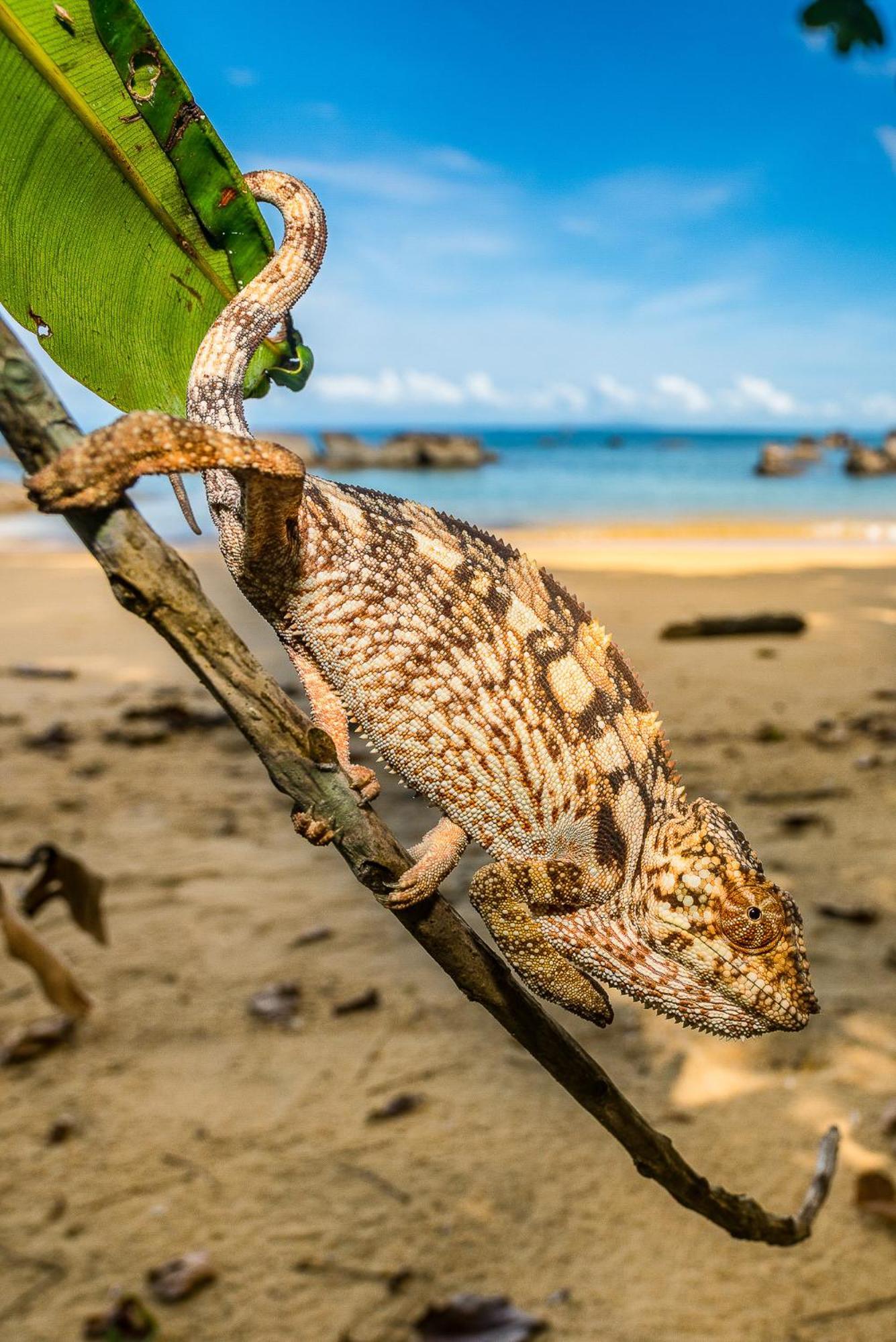 Komba Cabana Nosy Komba Luaran gambar